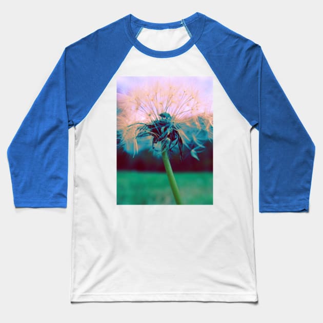 Dandelion Baseball T-Shirt by saradaboru